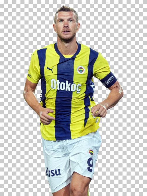 Edin Dzeko Fenerbahce