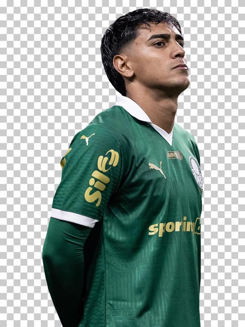 Facundo Torres transparent png render free