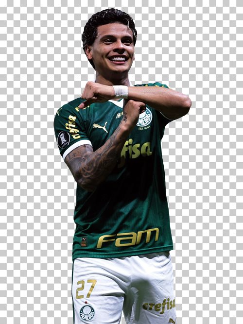 Richard Rios Palmeiras