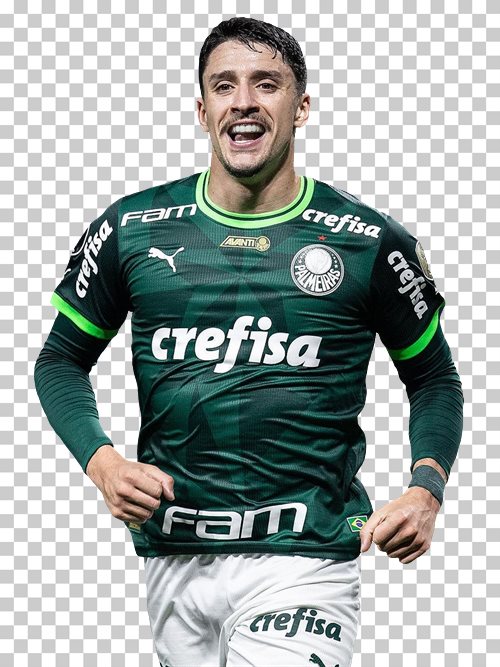 Joaquin Piquerez Palmeiras