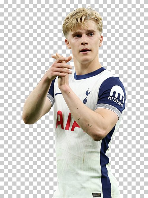 Lucas Bergvall Tottenham Hotspur