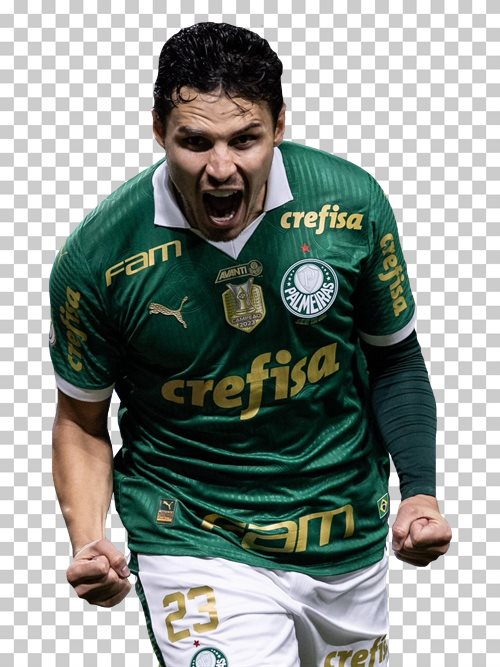 Raphael Veiga Palmeiras