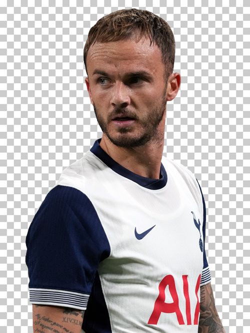 James Maddison Tottenham Hotspur