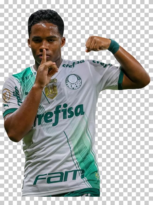 Endrick Felipe Palmeiras