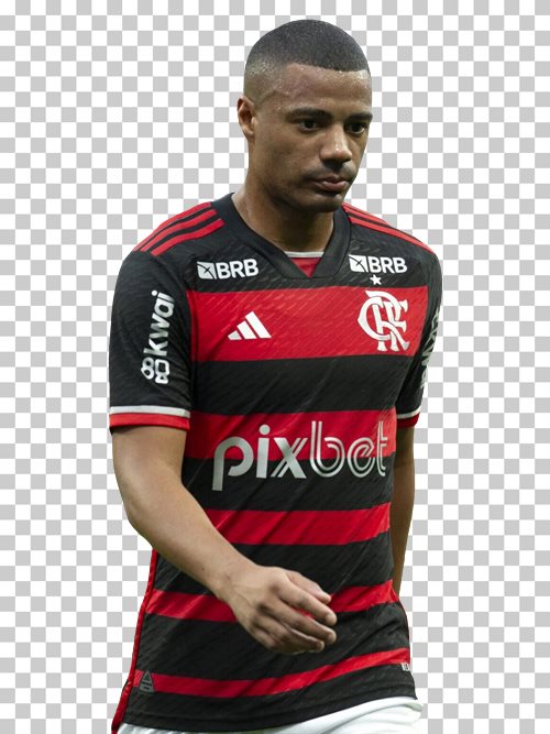 Nicolas de la Cruz Flamengo