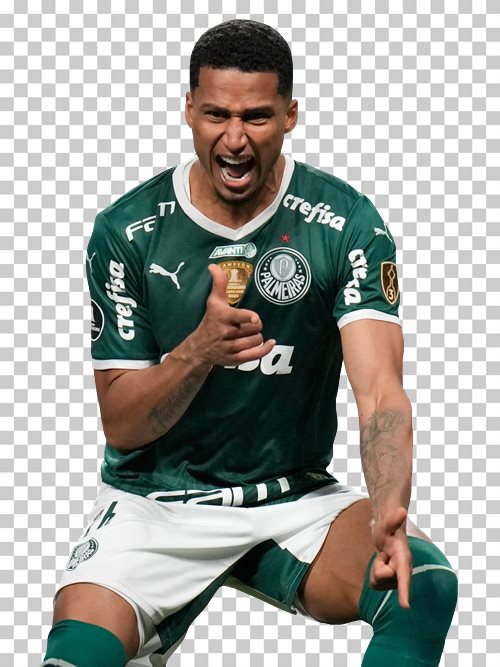 Murilo Palmeiras
