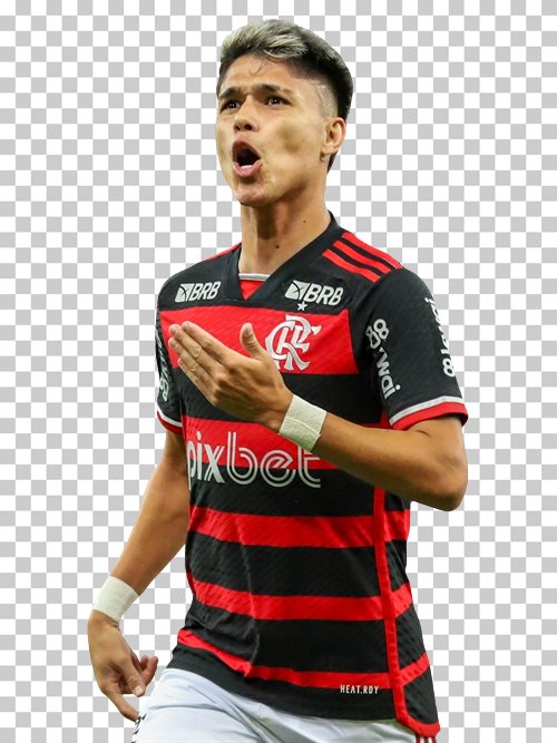 Luiz Araujo transparent png render free