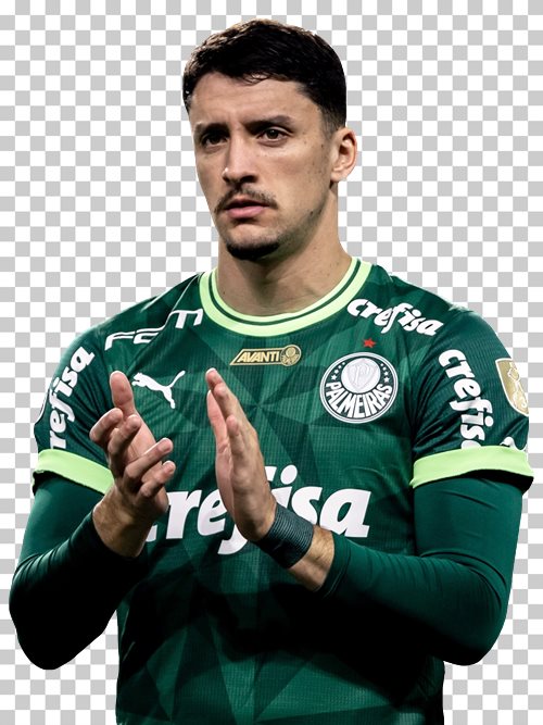 Joaquin Piquerez Palmeiras