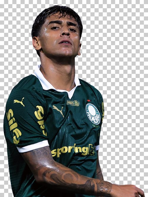 Facundo Torres Palmeiras