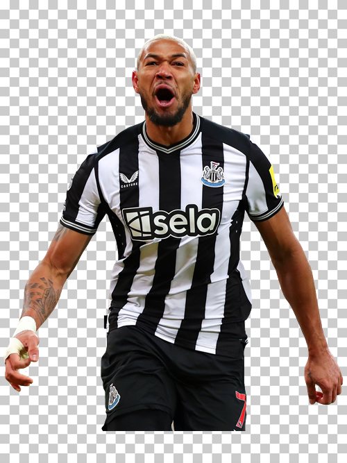 Joelinton Newcastle United