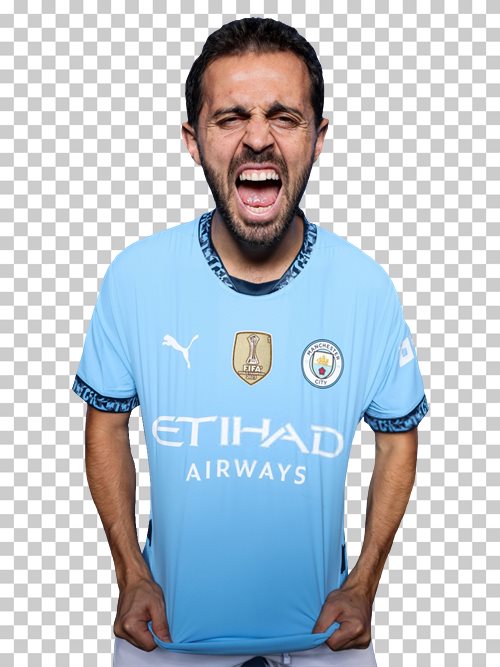 Bernardo Silva Manchester City