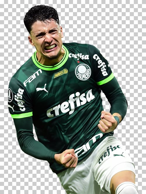 Joaquin Piquerez Palmeiras