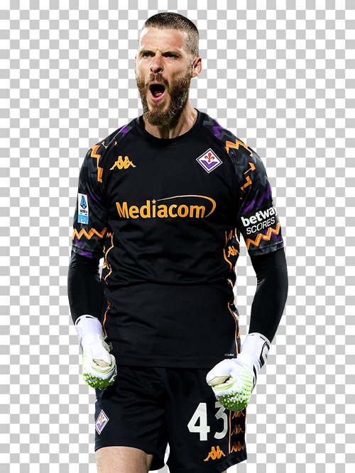 David de Gea transparent png render free