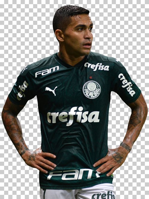 Dudu Palmeiras