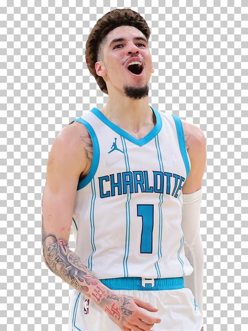 LaMelo Ball Charlotte Hornets