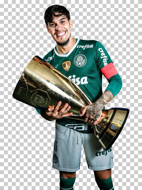 Gustavo Gomez Palmeiras