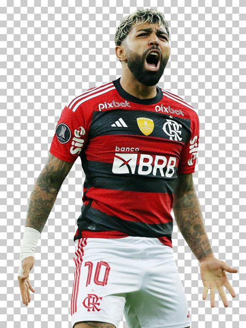 Gabriel Barbosa Flamengo