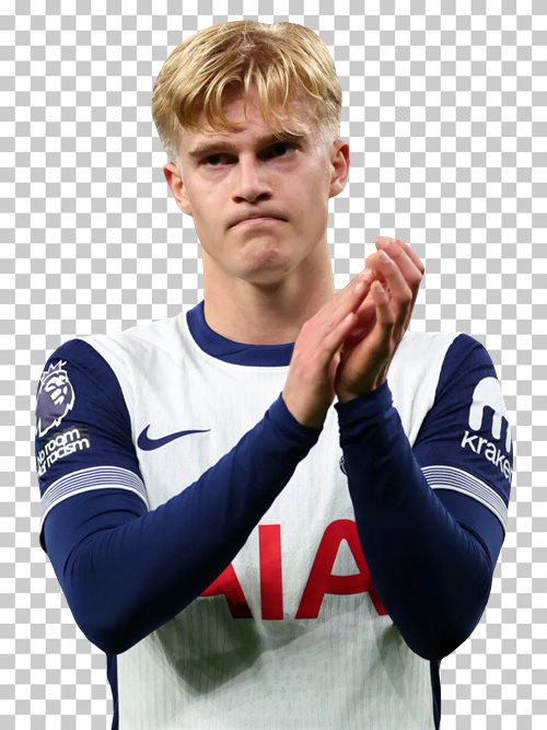 Lucas Bergvall Tottenham Hotspur