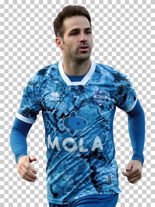 Cesc Fabregas transparent png render free