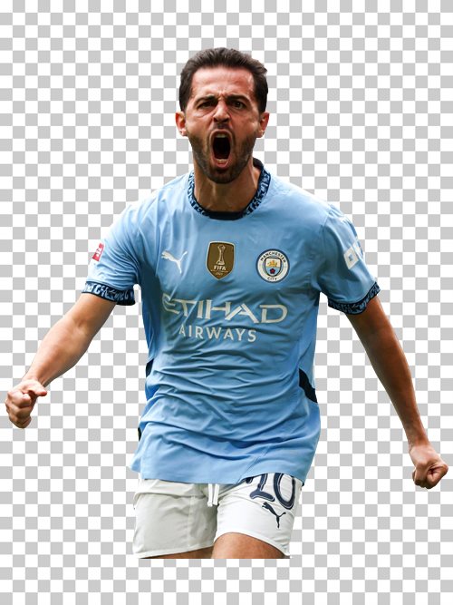 Bernardo Silva Manchester City
