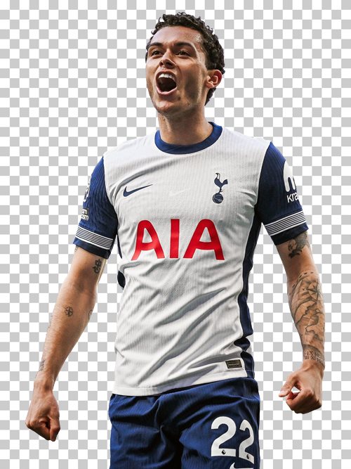 Brennan Johnson Tottenham Hotspur