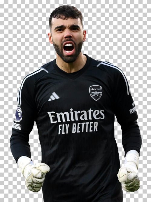 David Raya Arsenal