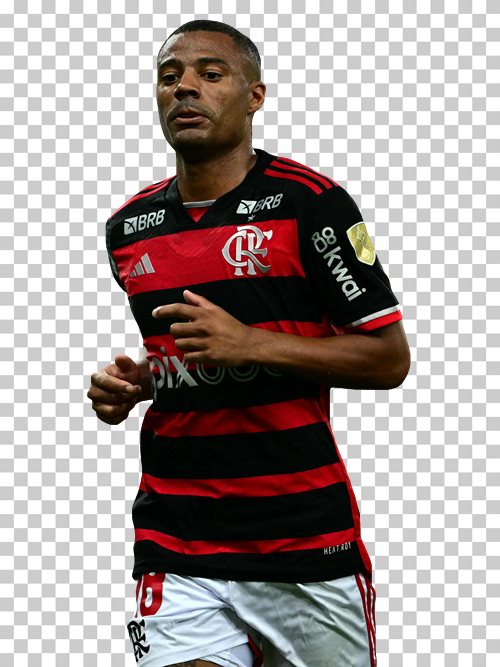 Nicolas de la Cruz Flamengo