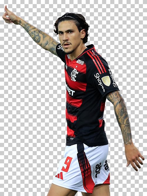 Pedro Flamengo