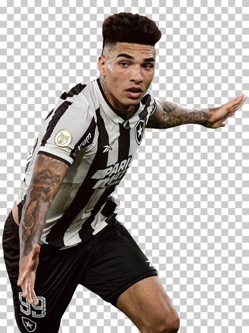 Igor Jesus Botafogo