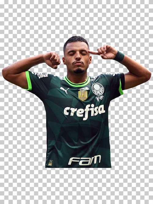 Gabriel Menino Palmeiras