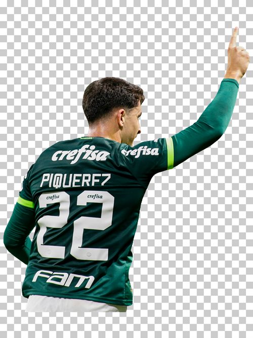 Joaquin Piquerez Palmeiras