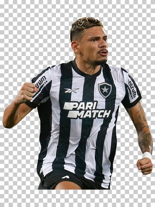 Tiquinho Soares Botafogo