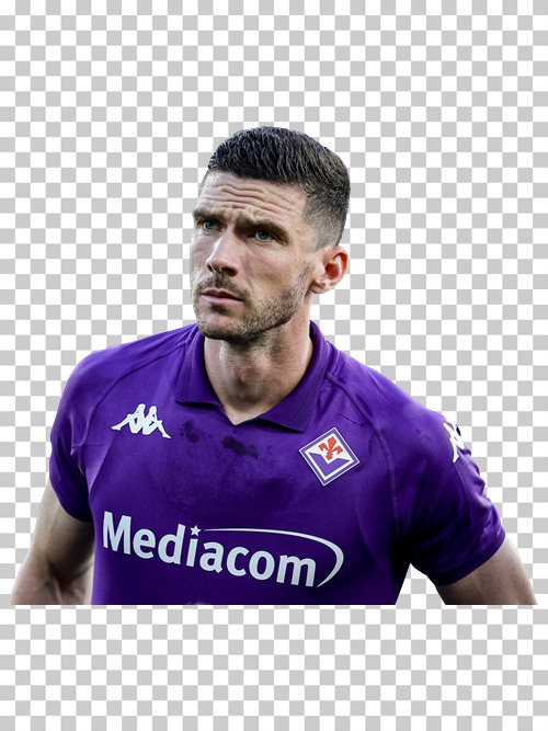 Robin Gosens Fiorentina