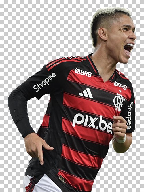 Luiz Araujo Flamengo