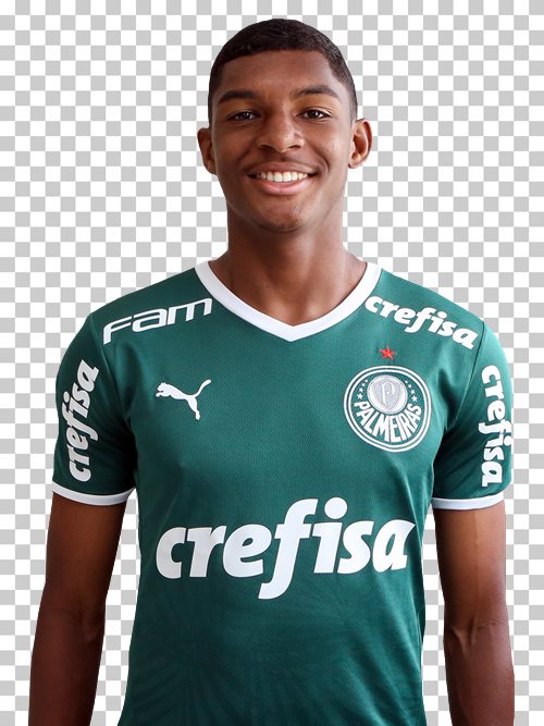 Luis Guilherme Palmeiras