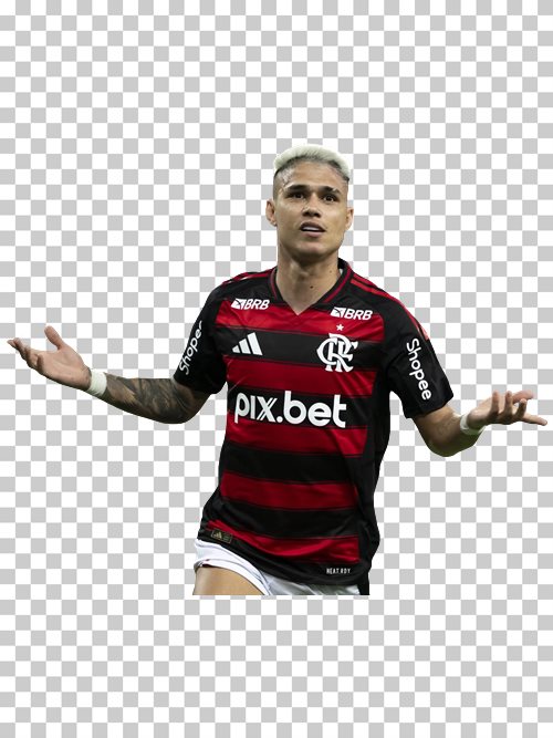 Luiz Araujo transparent png render free