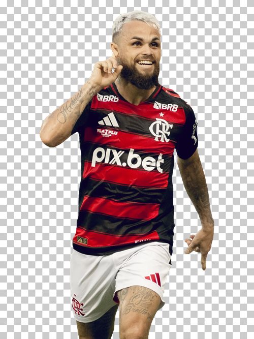 Michael Flamengo