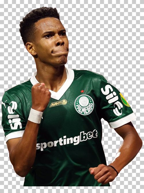 Estevao Palmeiras