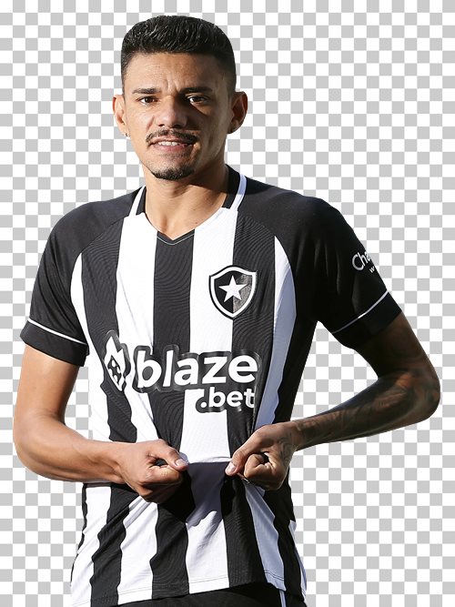 Tiquinho Soares Botafogo