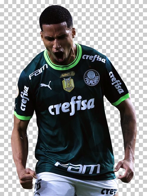 Murilo Palmeiras