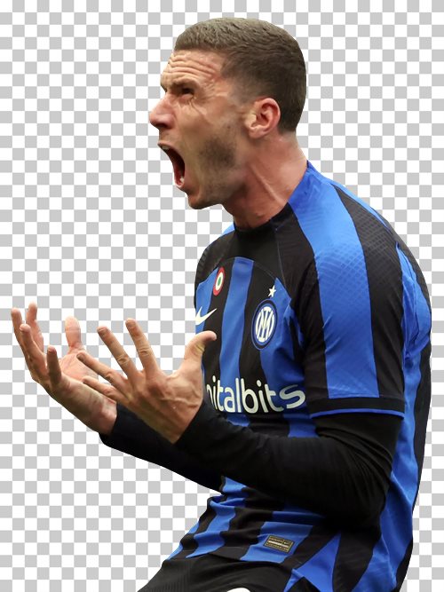 Robin Gosens Inter Milan