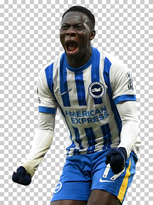 Yankuba Minteh Brighton Hove Albion