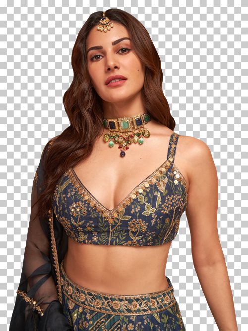 Amyra Dastur transparent png render free