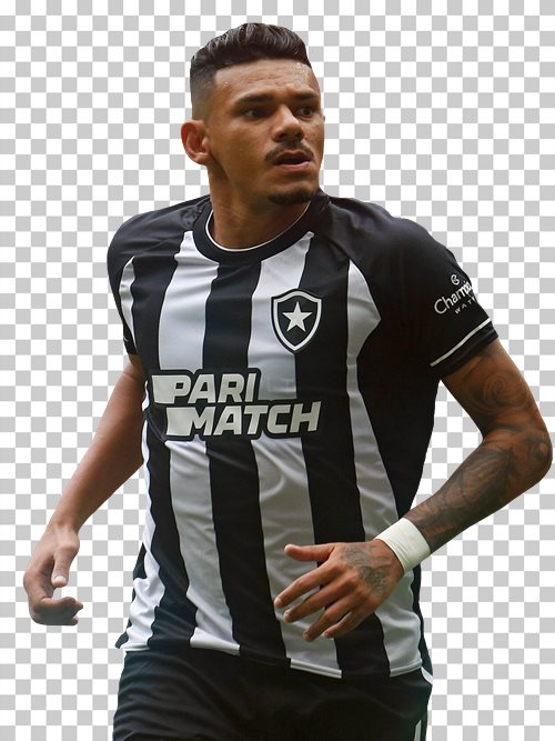 Tiquinho Soares Botafogo