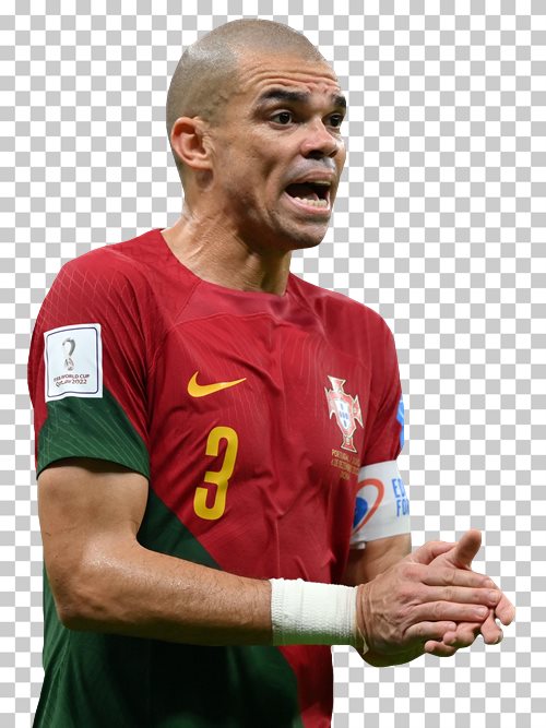 Pepe Portugal national football team