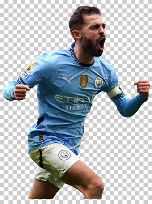 Bernardo Silva Manchester City