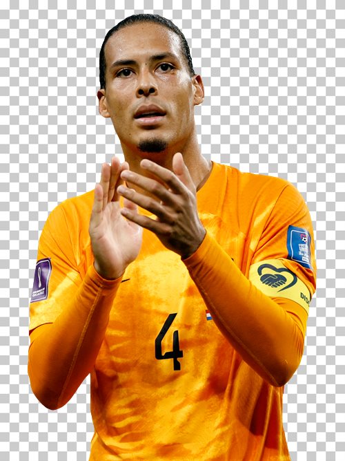Virgil van Dijk Netherlands national football team