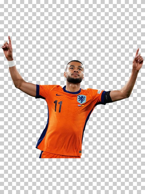 Cody Gakpo Netherland national football team