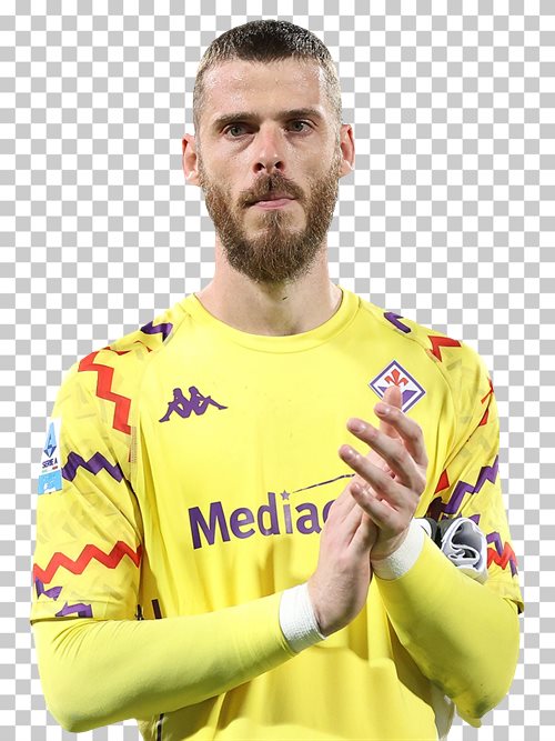 David de Gea Fiorentina