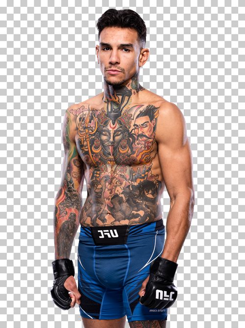 Andre Fili Featherweight division